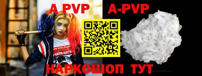 гашик Будённовск