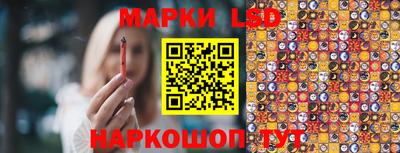 гашик Будённовск