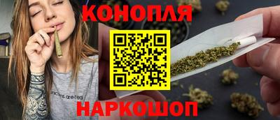 гашик Будённовск