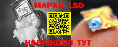 гашик Будённовск