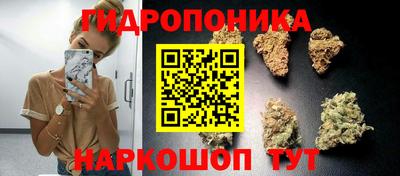 Альфа ПВП Бузулук