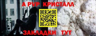 гашик Будённовск