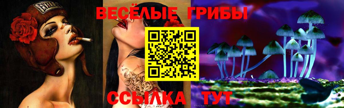Псилоцибиновые грибы GOLDEN TEACHER  Вход с VPN  хочу   Новочебоксарск  Галлюциногенные грибы ЛСД 